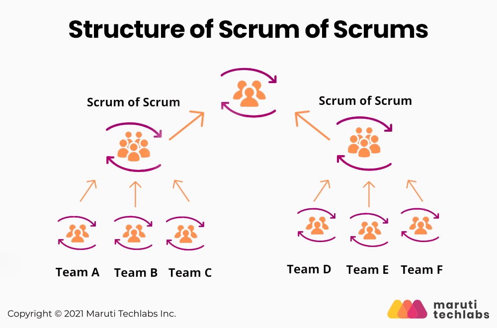 structure of scrum of scrums